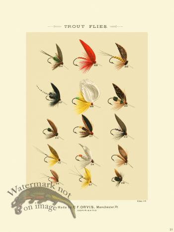 Favorite Flies 21 Trout